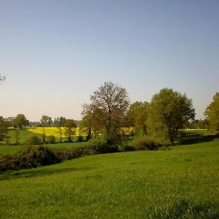 La Maison De Printemps *